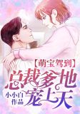 萌宝驾到总裁爹地宠上天白纤纤免费阅读