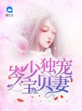 墨少独宠宝贝妻完整版