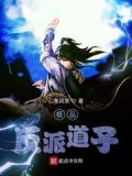 极品反派道子txt