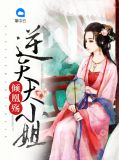 倾凰殇:逆天大小姐 小说