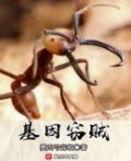 基因窃贼 费氏弓背蚁