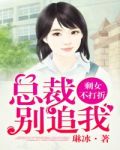 剩女不打折：总裁，别追我