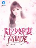 陆少娇妻高调宠