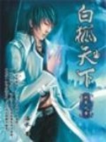 白狐天下全集