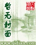 高手寂寞3我即天意 字数