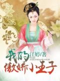 我的傲娇小王子小说