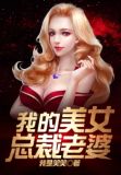 我的傲娇总裁老婆