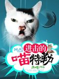 进击喵 小说