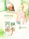 迟到的季节