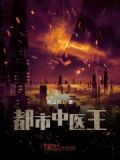 都市中医王 小说