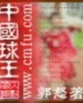 重生中国球王