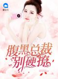 腹黑总裁别硬撩白澈傅弈裴