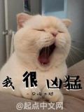 我很凶猛的英语