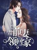非你不爱小说全文免费阅读