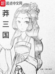 莽三国小说