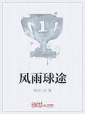 风雨球途