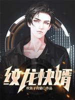 纹龙快婿书评