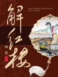 解红楼