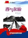 西气东输工程全面建成并正式运营
