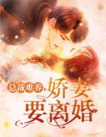 总裁难养娇妻要离婚莫晚晚墨岩廷