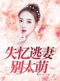 失忆别闹小说