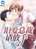 旧爱总裁请放手陆锦念慕之言