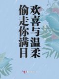 偷走你满目欢喜与温柔歌词