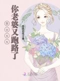 boss你老婆又跑路了 小说