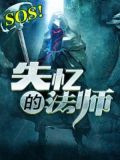 失忆的法师小说