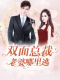 总裁老婆不要逃电视剧