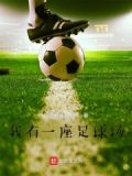我有一座足球场