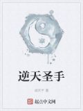 逆天圣手