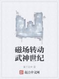 磁场转动武神世纪