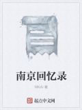 南京回忆录作者