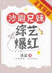 沙雕兄妹,综艺爆红小说