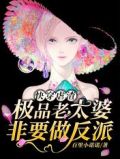 快穿虐渣:极品老太婆非要做反派全文阅读