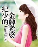 纪少的金牌老婆百度云