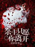 余生只愿你离开第31章