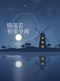 靳言霆夏洛洛全文免费