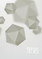 惟有光阴不可轻2 林桑榆