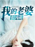 我的老婆很凶萌揪拧耳朵小说