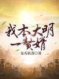 我本大明一赘婿TXT