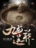 九龙送葬小说