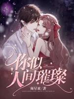 人间璀璨是什么意思