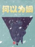 何以为姻小说