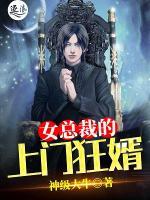 女总裁的上门狂婿土豆