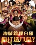 海贼：管理白团，你打造17皇？