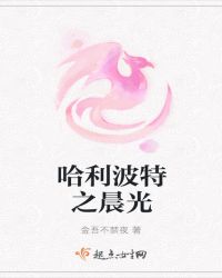 哈利波特之晨光 小说