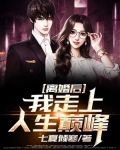 离婚后我迎来了人生巅峰刘畅小说