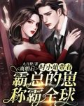离婚后，时小姐带着霸总的崽称霸全球